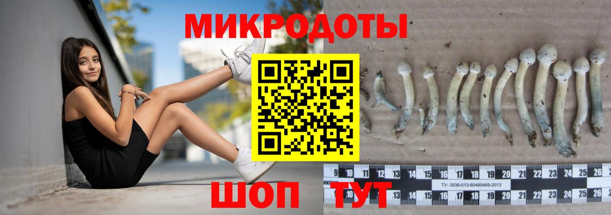 Псилоцибиновые грибы Psilocybe  Псилоцибиновые грибы мухоморы  Вход с VPN  Артём 